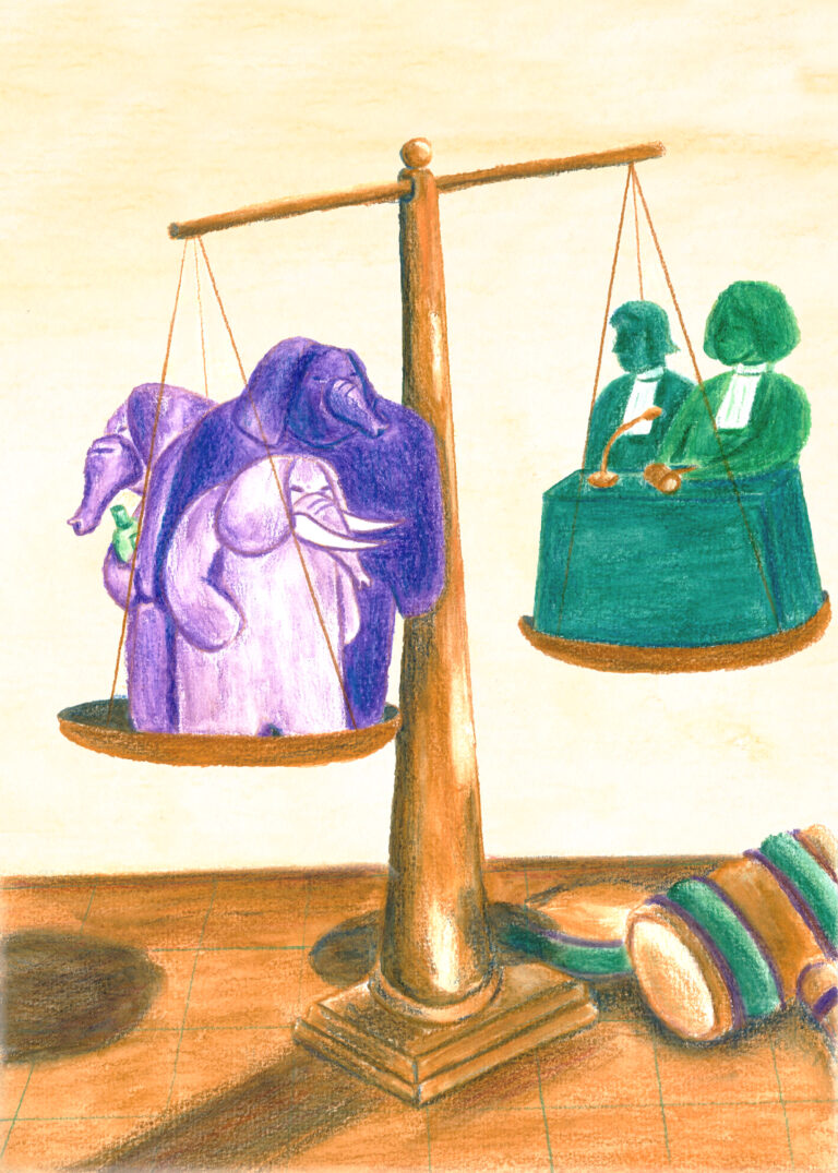 Illustration pour la revue Médor